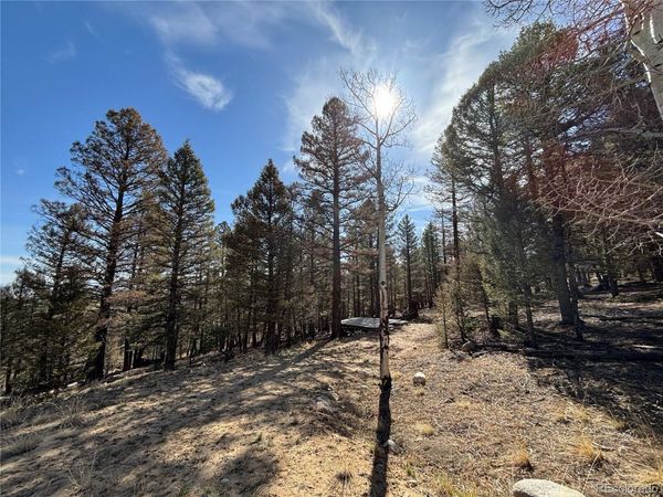 1980 Pitchfork Road, Hartsel, CO 80449