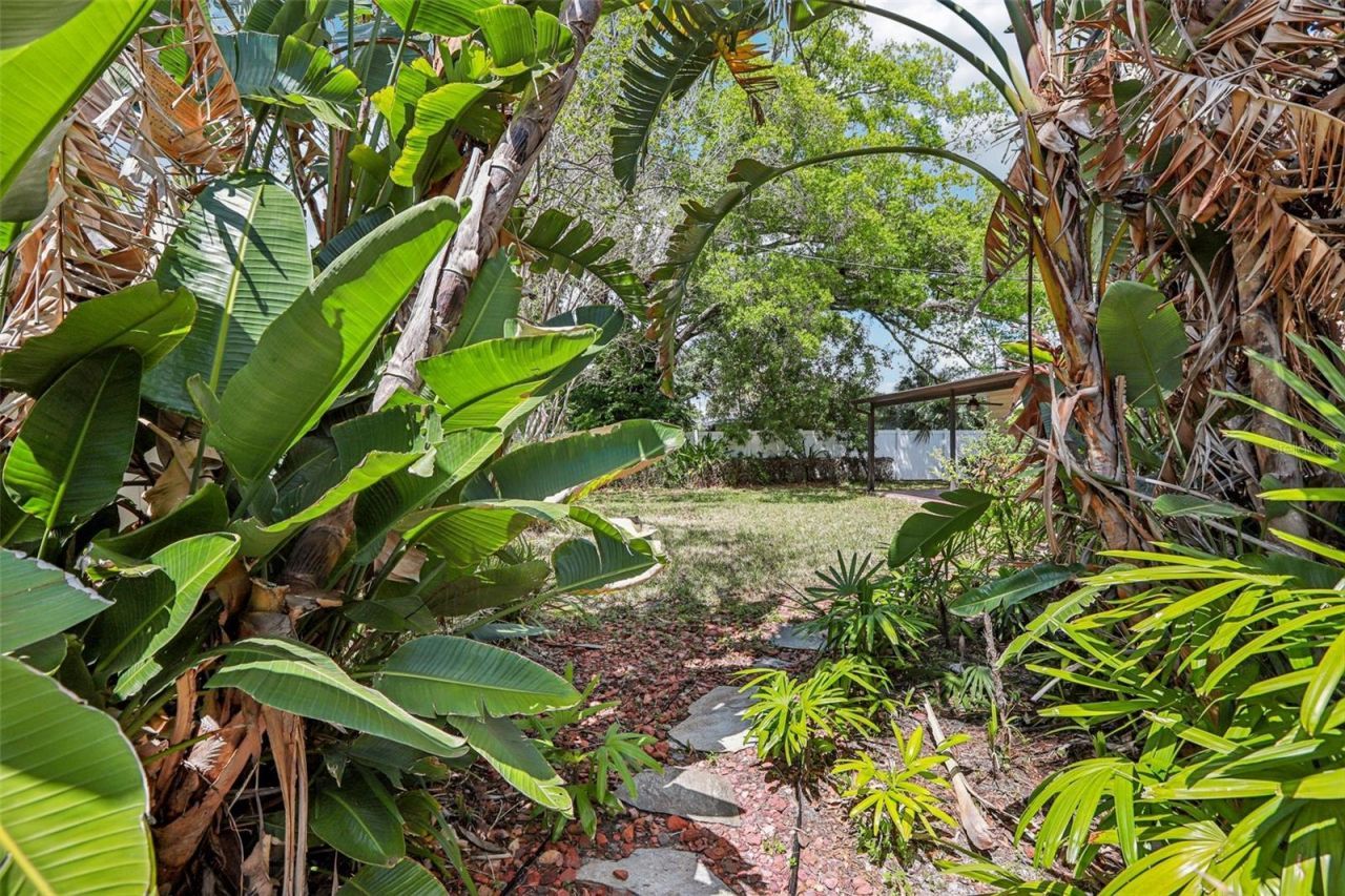 215 S West Shore Boulevard, Tampa, FL 33609 Photo