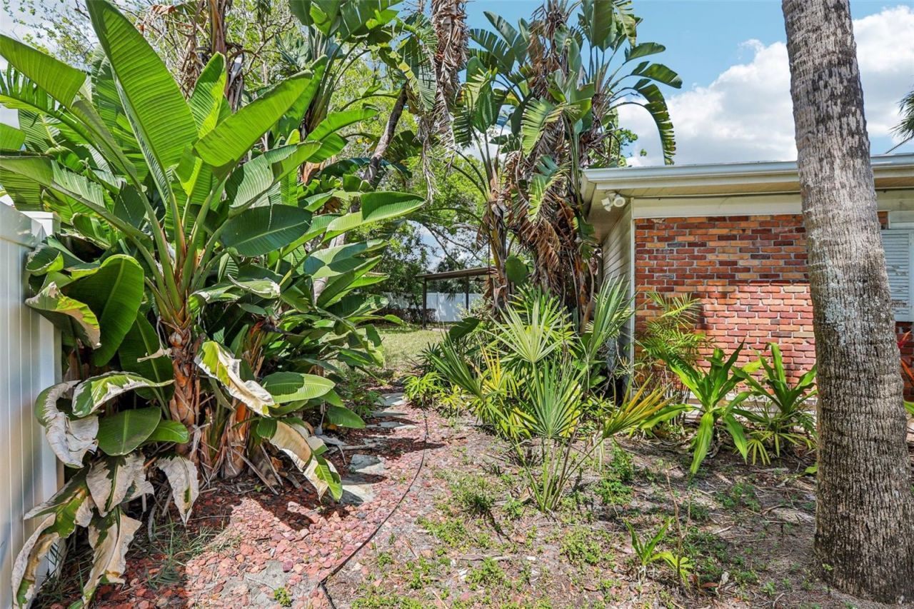 215 S West Shore Boulevard, Tampa, FL 33609 Photo