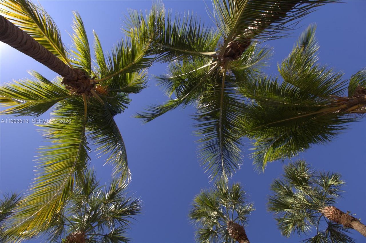 7155 Miami Lakes Dr , Unit P7, Miami Lakes, FL 33014 Photo