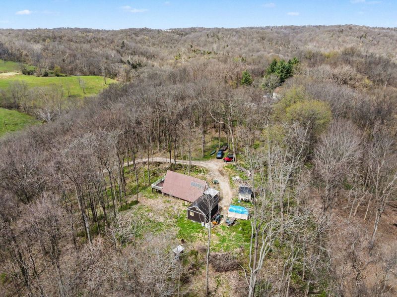 1029 Bucks Run Road, Ghent, KY 41045 Photo 19
