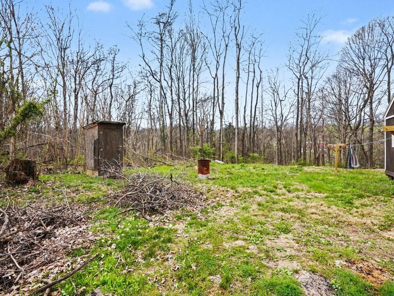 1029 Bucks Run Road, Ghent, KY 41045 Photo 25