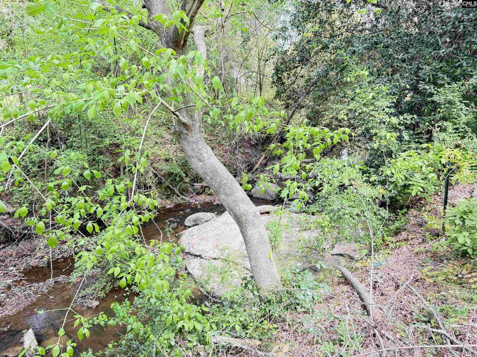 1917 Mchardy Street Photo 27