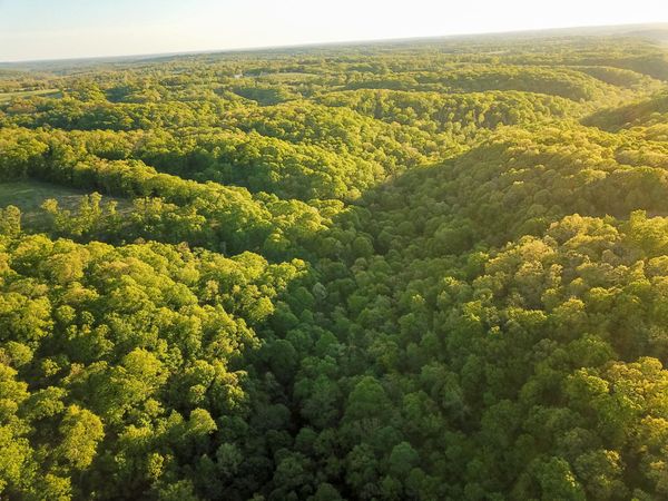 000 State Highway Uu, Washburn, MO 65772