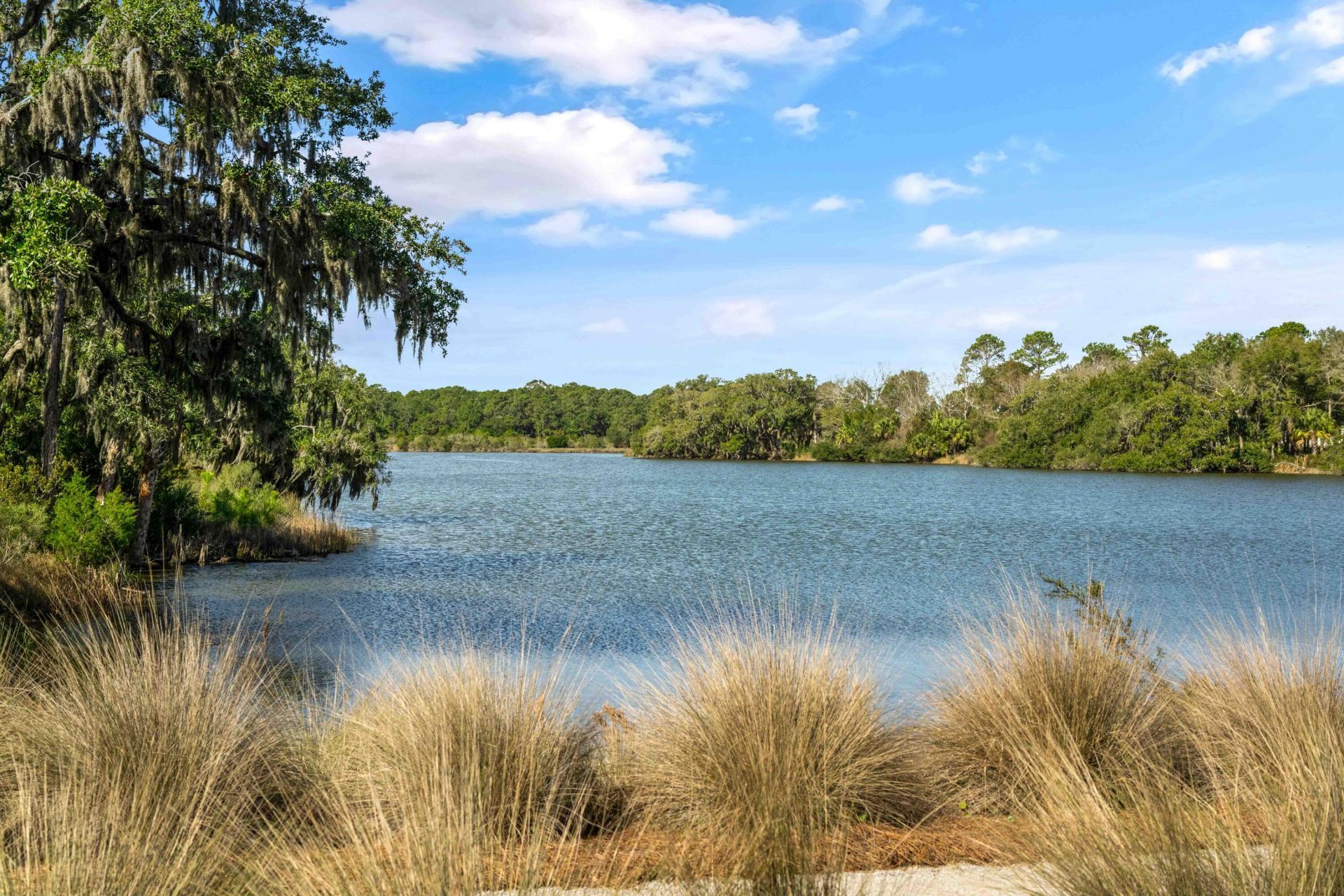 3019 Eventide Drive Photo 66