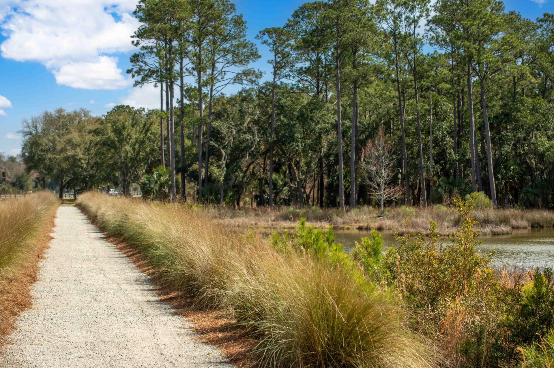 3019 Eventide Drive Photo 68