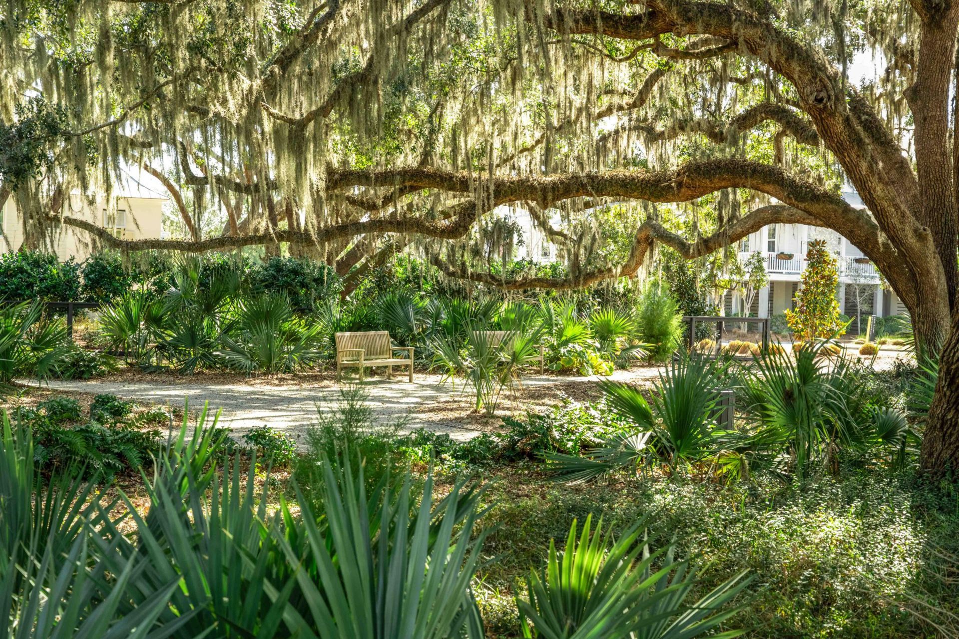 3019 Eventide Drive Photo 69