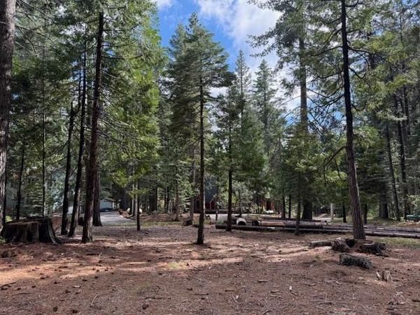 1510 Pawnee Dr, Dorrington, CA 95223