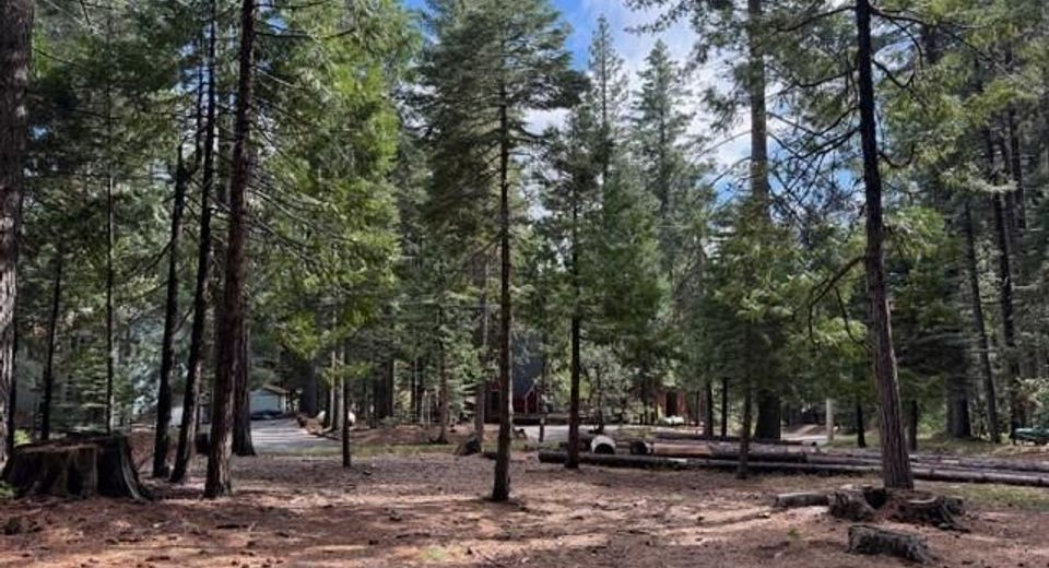 1510 Pawnee Dr, Dorrington, CA 95223 Photo