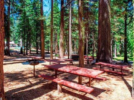 1510 Pawnee Dr, Dorrington, CA 95223 Photo