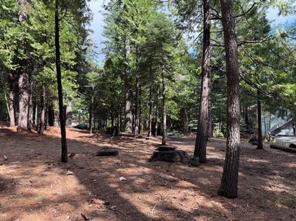 1510 Pawnee Dr, Dorrington, CA 95223 Photo