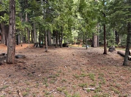 1510 Pawnee Dr, Dorrington, CA 95223 Photo