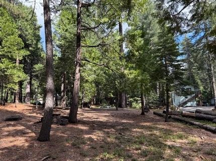 1510 Pawnee Dr, Dorrington, CA 95223 Photo
