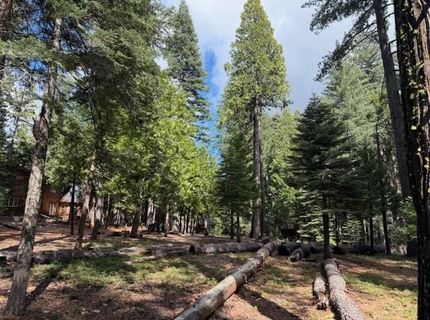 1510 Pawnee Dr, Dorrington, CA 95223 Photo