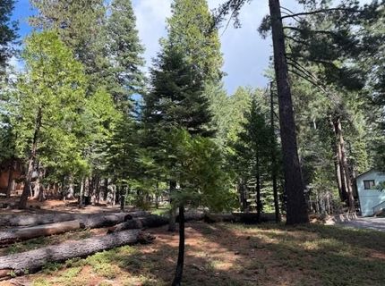 1510 Pawnee Dr, Dorrington, CA 95223 Photo
