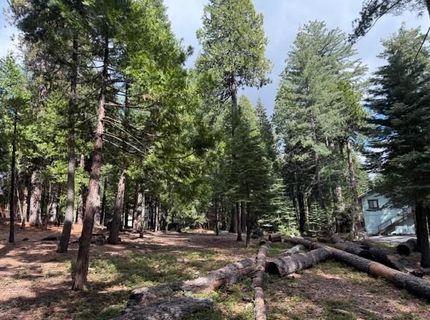 1510 Pawnee Dr, Dorrington, CA 95223 Photo