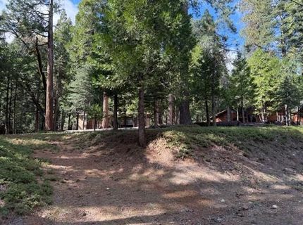 1510 Pawnee Dr, Dorrington, CA 95223 Photo