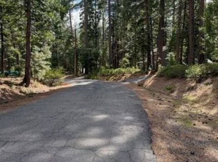 1510 Pawnee Dr, Dorrington, CA 95223 Photo