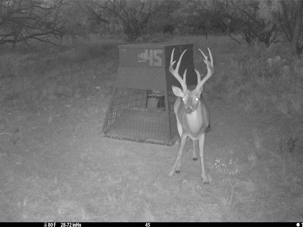 tbd TBD Cntty Rd 291 , Breckenridge, TX 76464