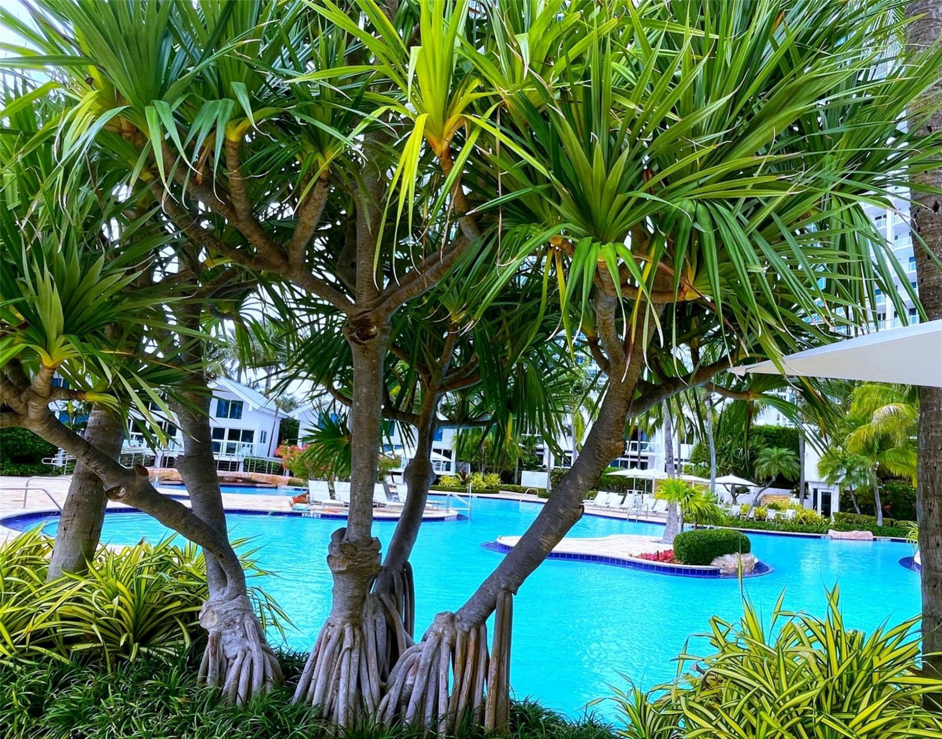 100 S Pointe Drive, Unit 602, Miami Beach, FL 33139 Photo