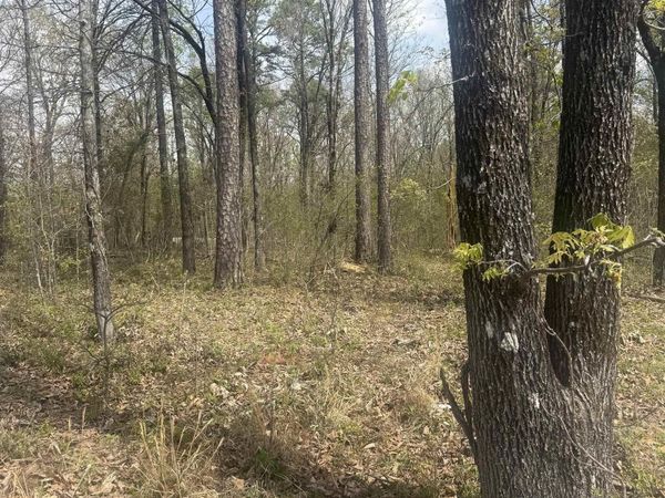 Greene 715 Rd, Paragould, AR 72450