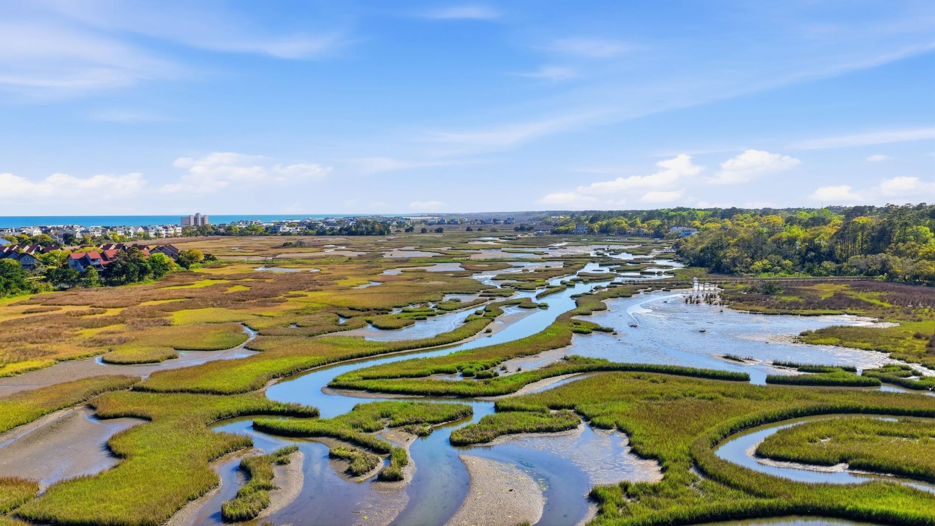 709 Retreat Beach Circle Photo 57