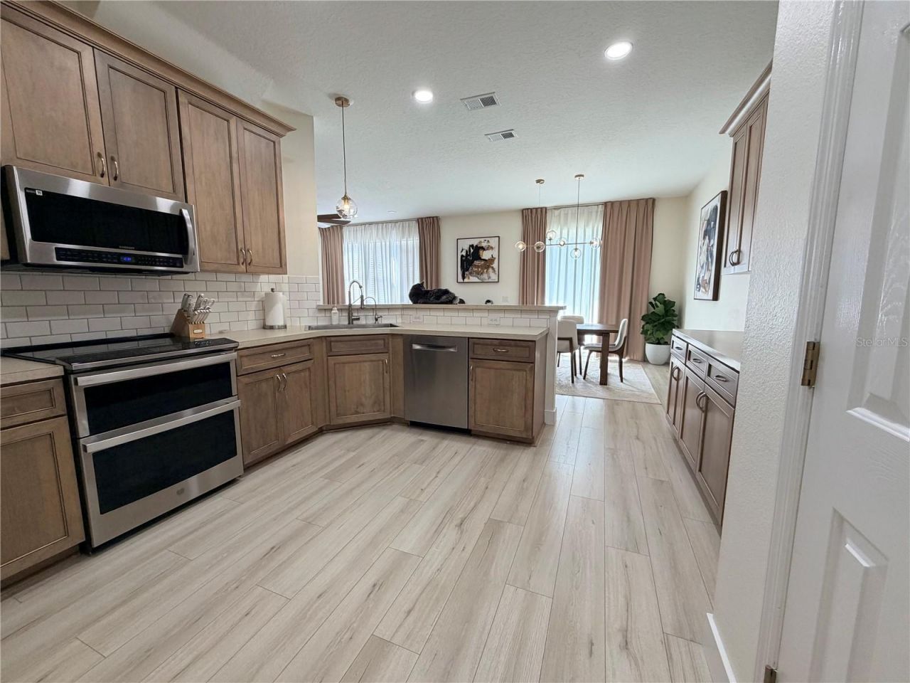17532 Queensland Street, Land O Lakes, FL 34638 Photo