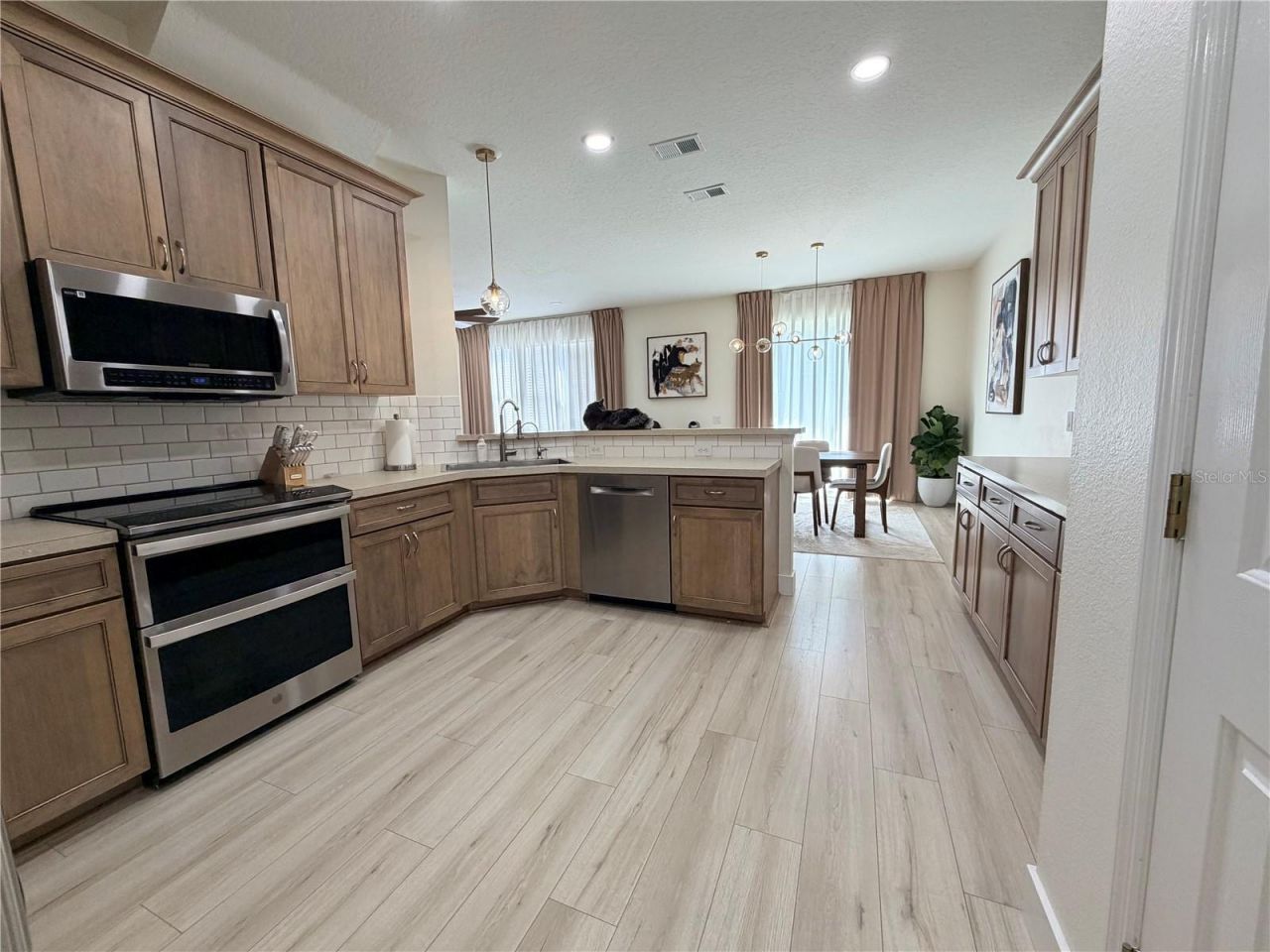 17532 Queensland Street, Land O Lakes, FL 34638 Photo