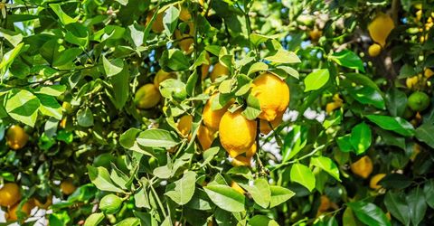 4921 Mcglashan St, Sacramento, CA 95820 Photo