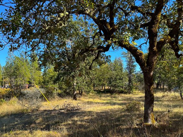 Obrien West, O'Brien, OR 97534