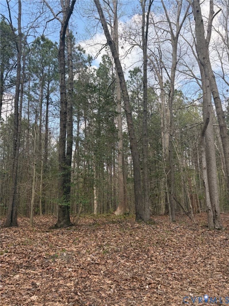 0 Richmond Road , Amelia, VA 23002 Main Photo