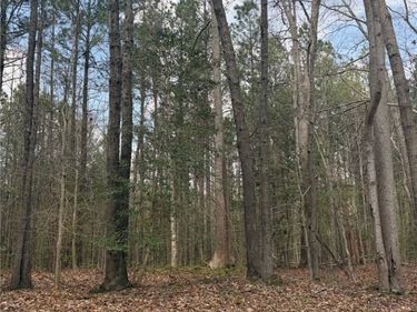 0 Richmond Road , Amelia, VA 23002