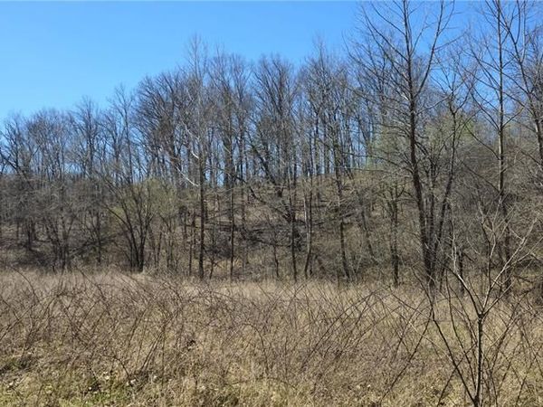 0 County Road 422 , Ellington, MO 63638