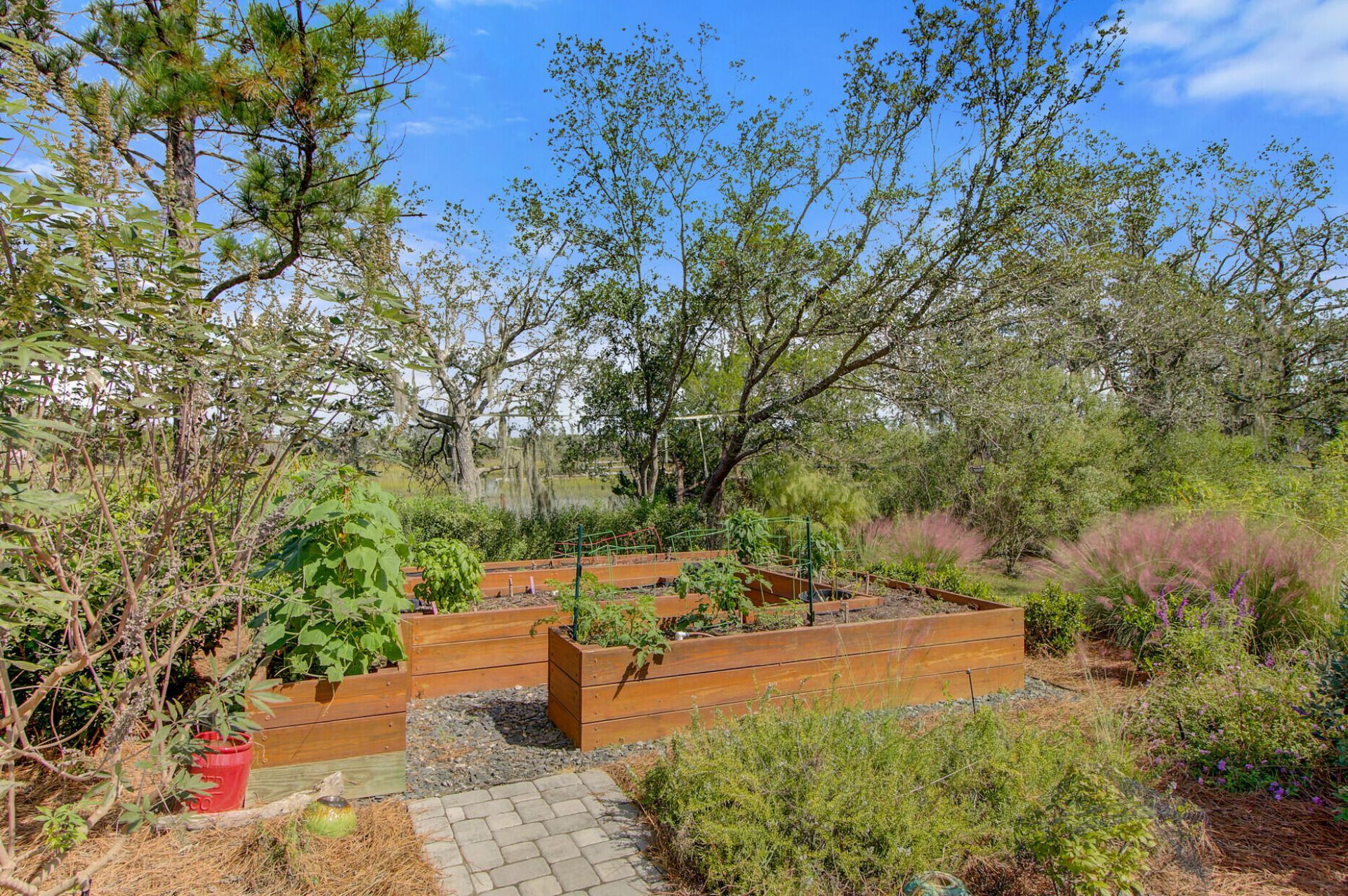 3015 Creek Cottage Lane Photo 9