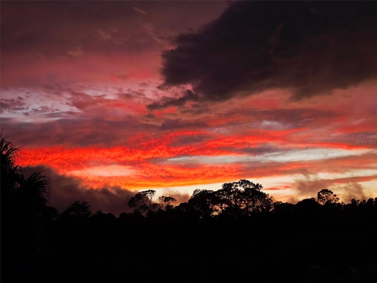 3025 Sheppards Crook Court , Holiday, FL 34691 Photo