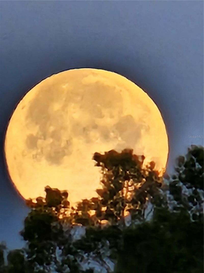 3025 Sheppards Crook Court , Holiday, FL 34691 Photo