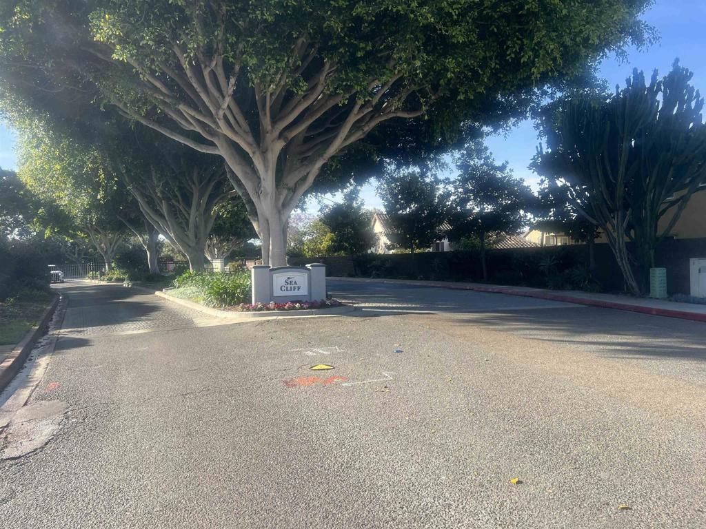 7302 Lantana Terrace, Carlsbad, CA 92011 Main Photo