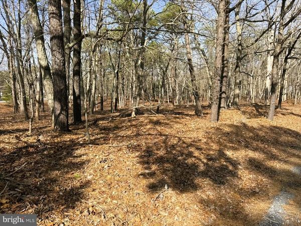 3 PINEWOOD DRIVE, LITTLE EGG HARBOR TWP, NJ 08087