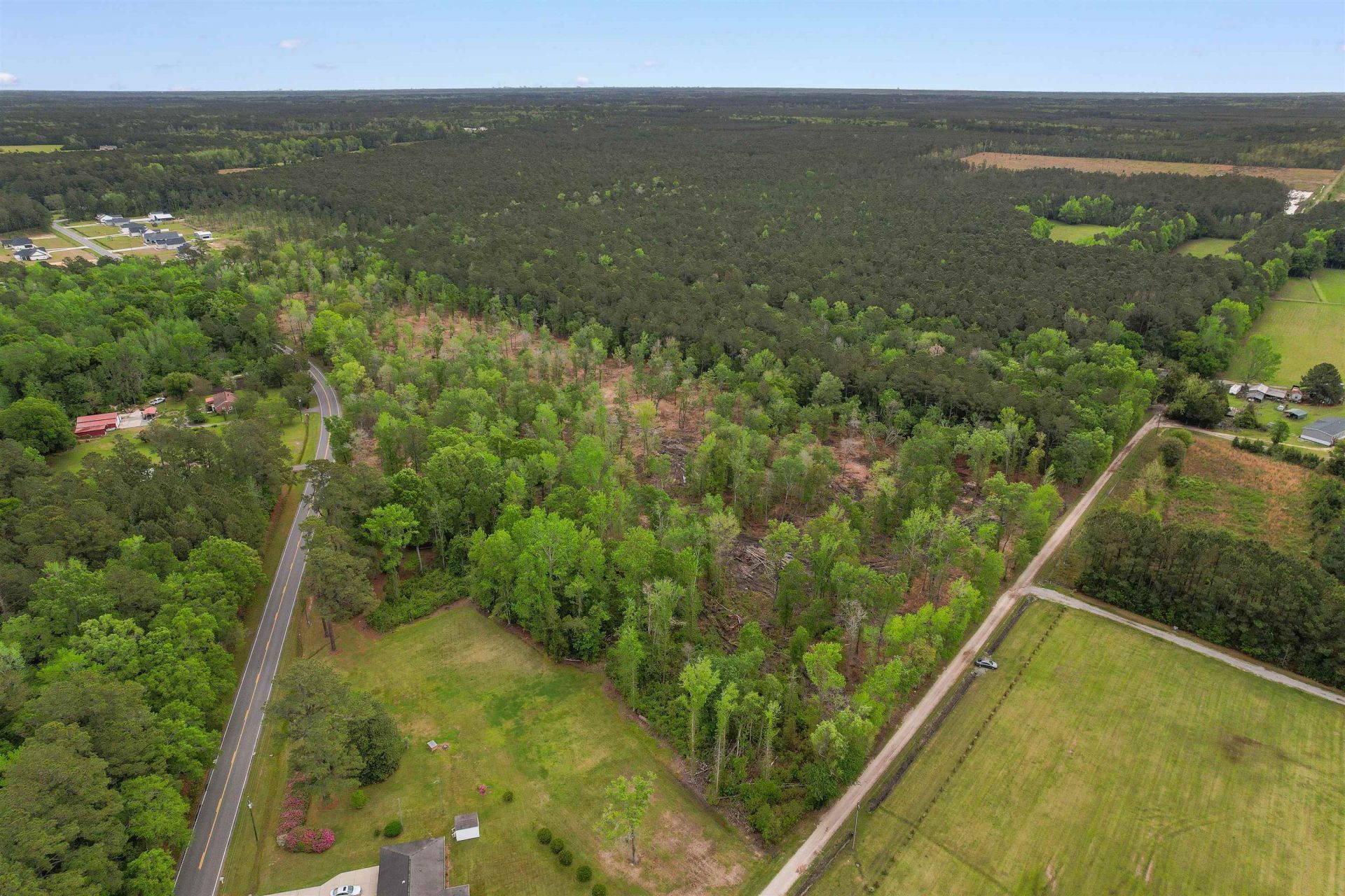 Tbd Pauley Swamp Rd. Photo 5