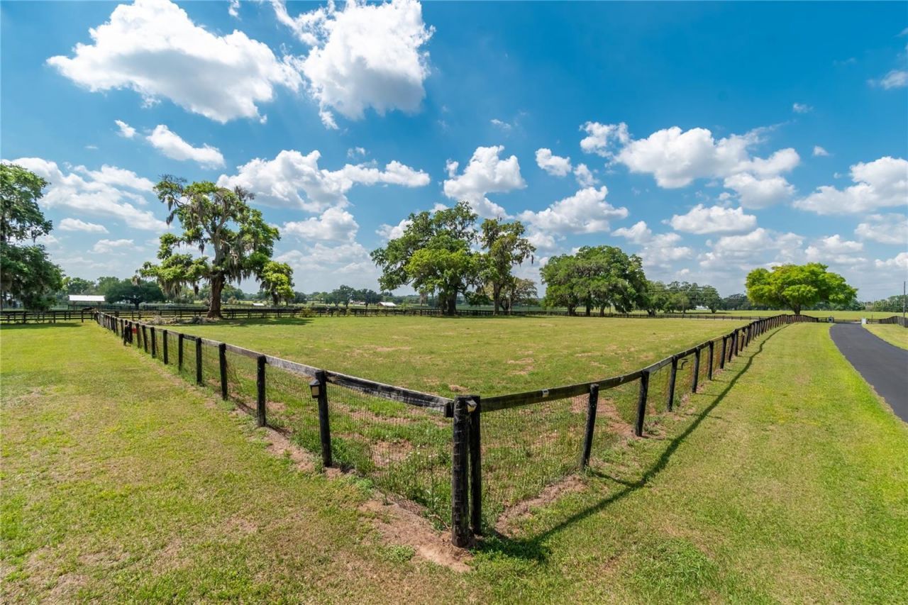 13025 NW Gainesville Road, Reddick, FL 32686 Photo