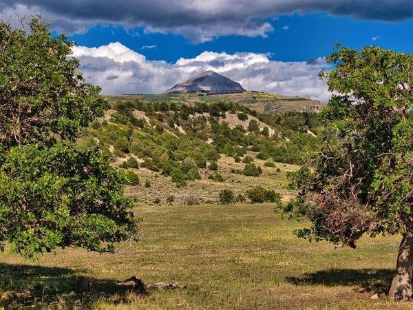 4107 Rd 31, Cahone, CO 81324