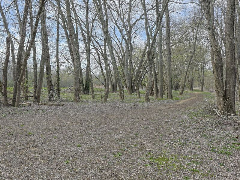 5646 New Drive, Melbourne, KY 41059 Photo 42