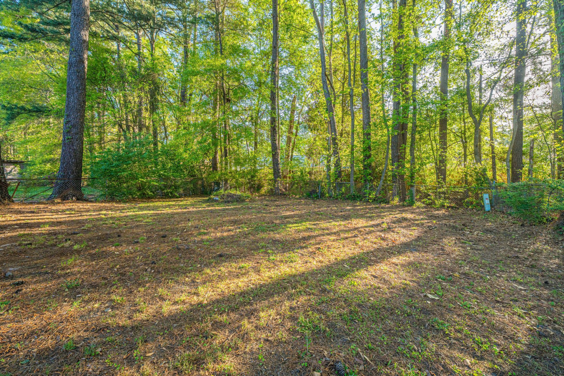 302 Elliott Drive Photo 23