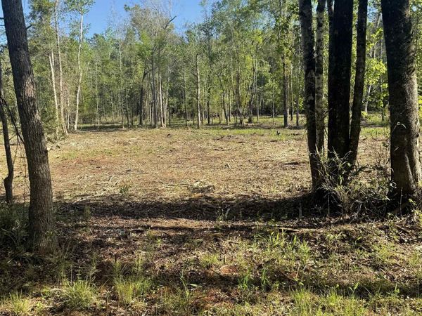 TBD Pauley Swamp Rd. , Conway, SC 29527