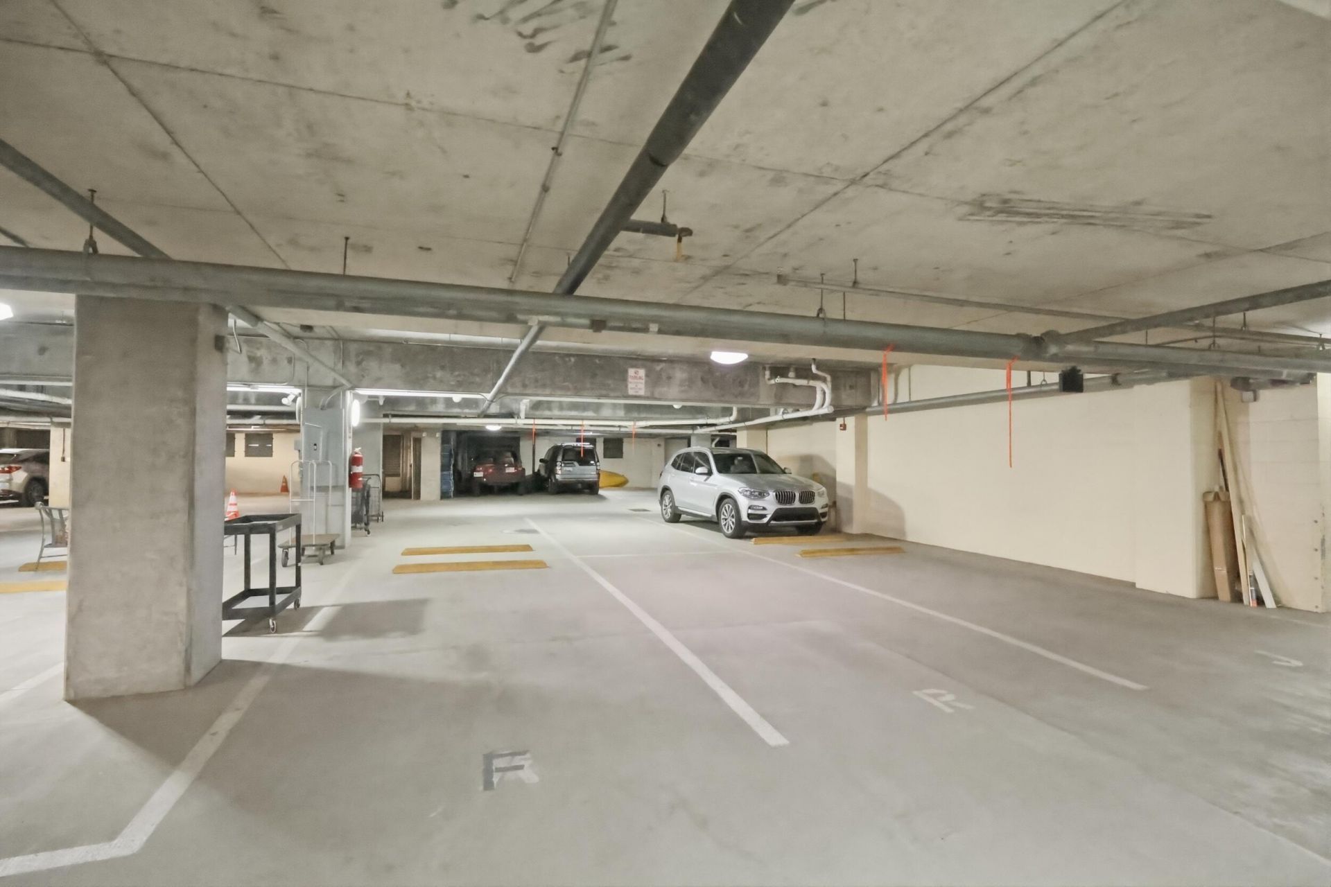 36 Prioleau Street Photo 31