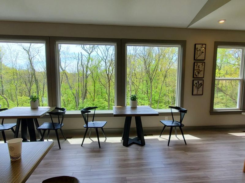 686 Daphne Way, Crescent Springs, KY 41017 Photo 30