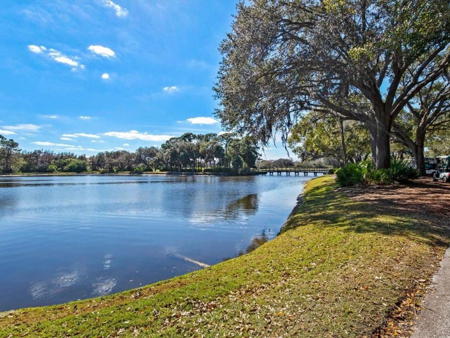 Property Image 83