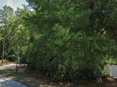 49 GOLFVIEW DRIVE , HOMOSASSA, FL 34446