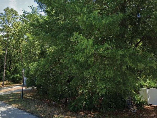 49 GOLFVIEW DRIVE , HOMOSASSA, FL 34446