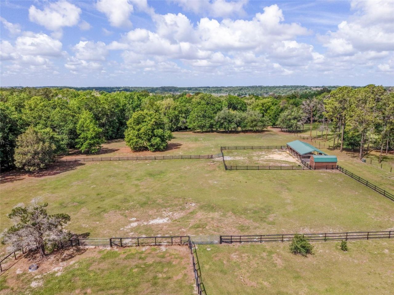 32640 Blueberry Hill Way, Dade City, FL 33523 Photo